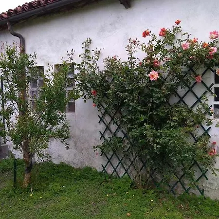 住宿加早餐酒店 Beb Infamiglia