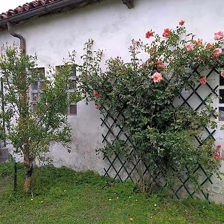 Beb Infamiglia Bed & Breakfast