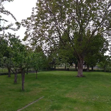 住宿加早餐酒店 Beb Infamiglia Cascinette